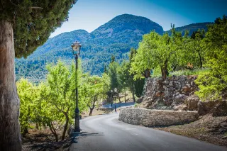 Subida al cementerio | Casa Amparo