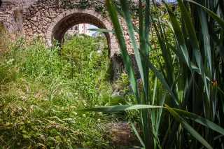Puente del río | Casa Amparo