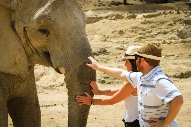 Acariciando a un elefante en Safari Aitana