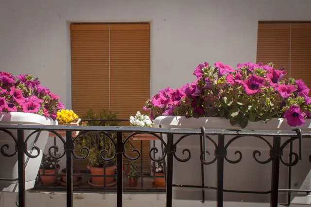 Balcón del dormitorio principal | Casa Amparo