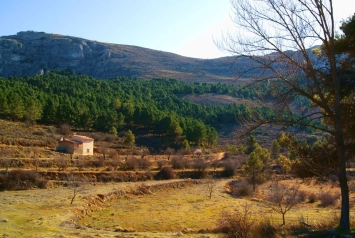 Font del arbre | Casa Rural Amparo