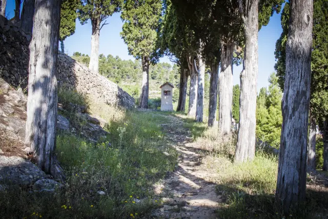 La subida al calvari, entre cipreses