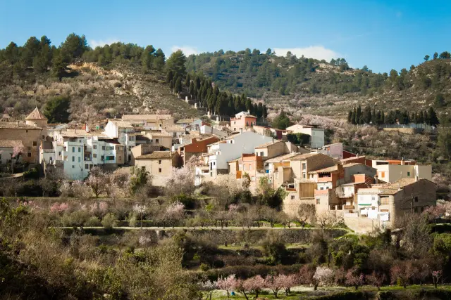 Alcoleja entera, con los almendros en flor
