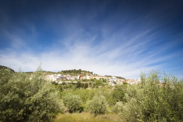 El pueblo entre olivos